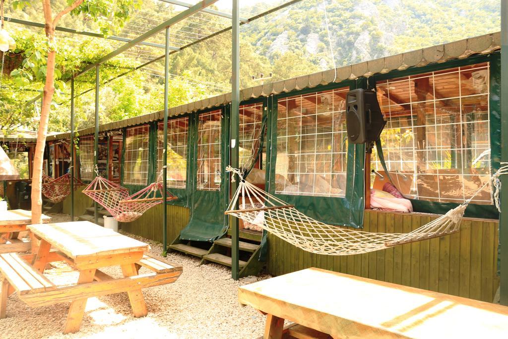 Bed and Breakfast Olympos Zeytin Экстерьер фото