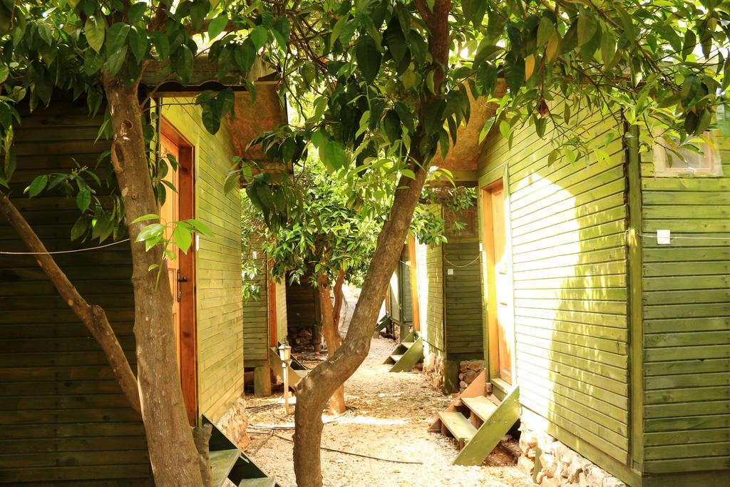 Bed and Breakfast Olympos Zeytin Экстерьер фото